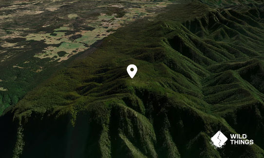 Mount Budawang
