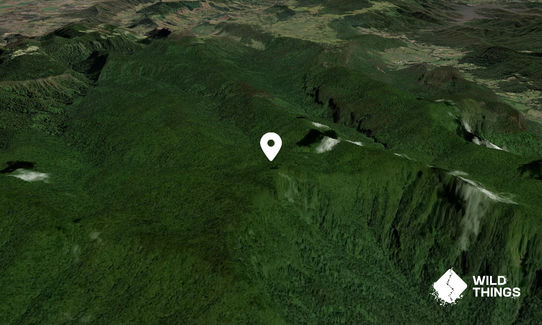 Mount Wanungara