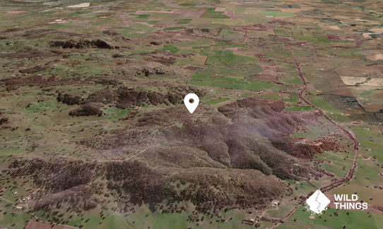 Mount Flakney