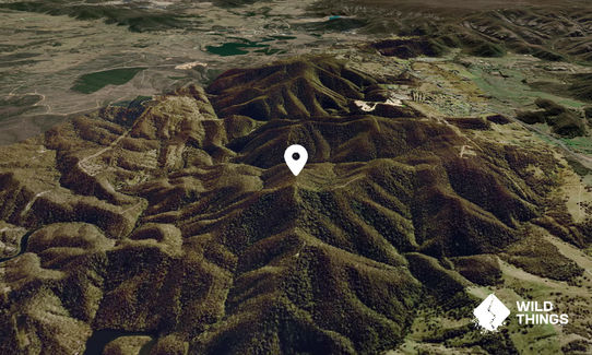 Mount Walker