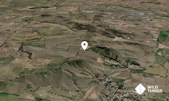 Bald Hill