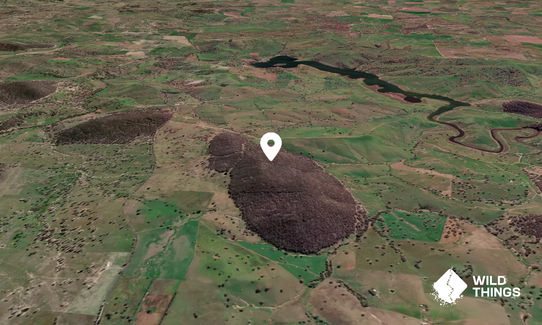 Mount Tannas