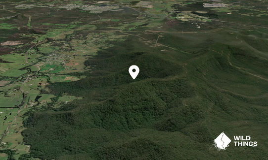 Mount Vincent
