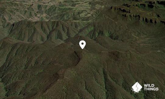 Mount Warrigal