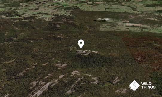 Bald Rock
