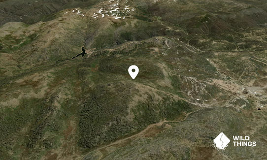 Mt Perisher