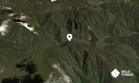 Mount Paralyser