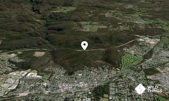 Mount Alexandra