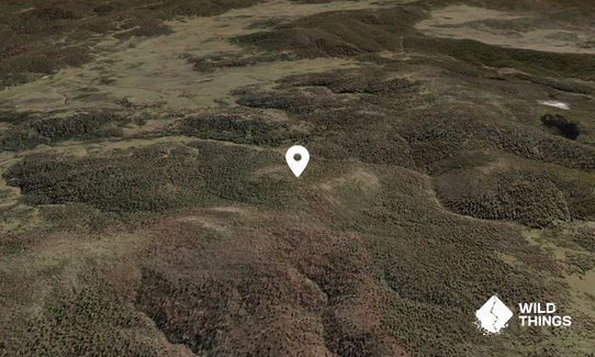 Mount Nattung