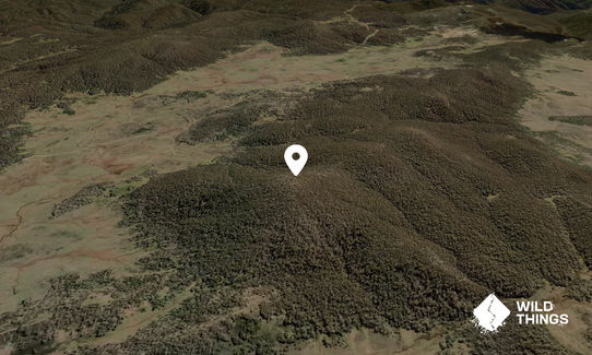 Skaines Mountain