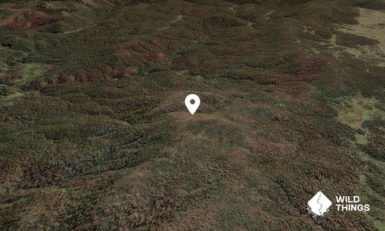 Yarrangobilly Mountain