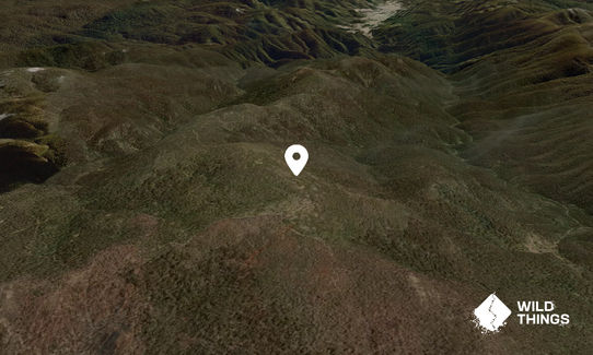 Mount Jackson