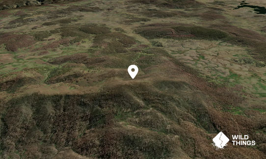 Tantangra Mountain