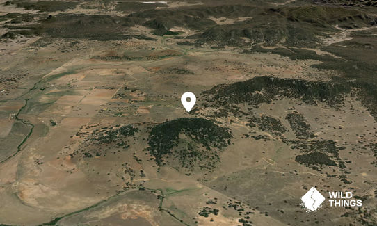 Mount Brace