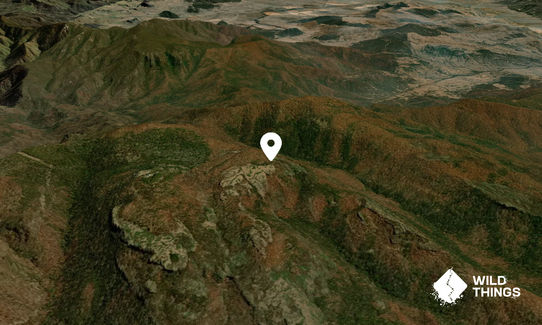 Mount Lindsay