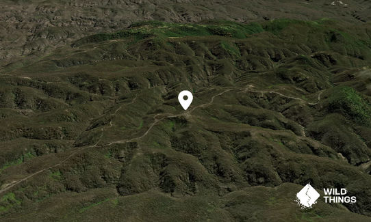 Mount Charles