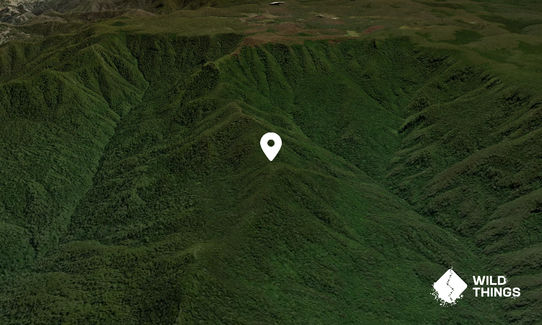 Mount Gunama
