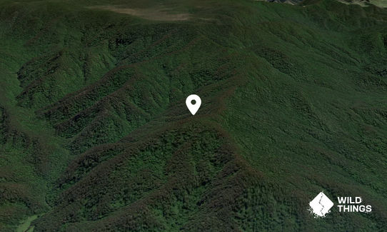 Mount Nelson