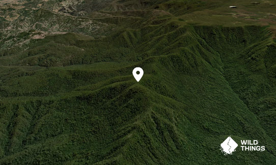 Mount Paterson
