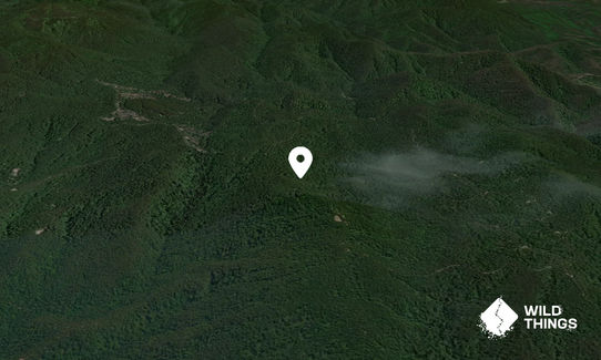 The Knob