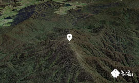 Mount Youngal