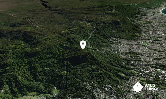 Mount Keira