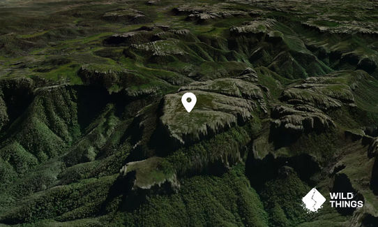 Mount Owen