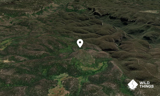 Mount Jellore