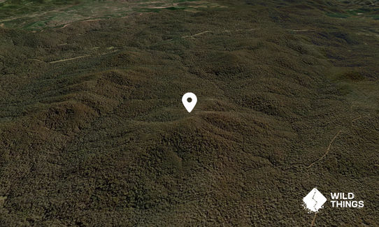 Big Dubbo Hill
