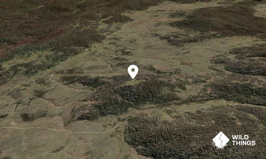 Black Hill