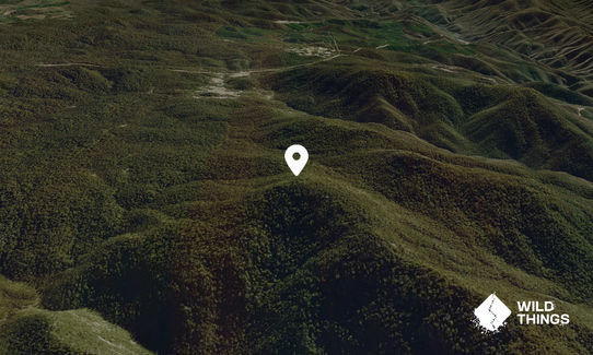 Mount Bramina