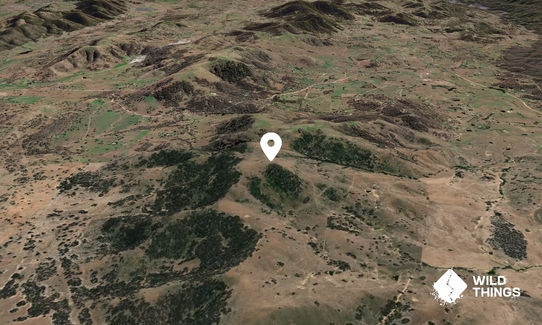 Mount Burra