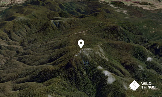 Mount Coree