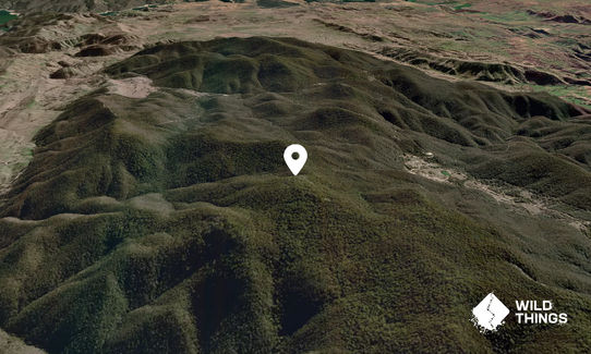 Mount Hartwood