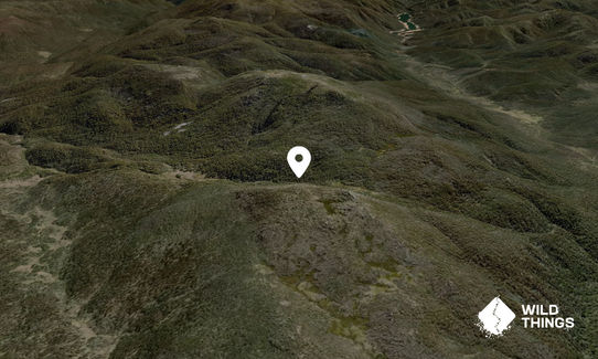 Mount Murray