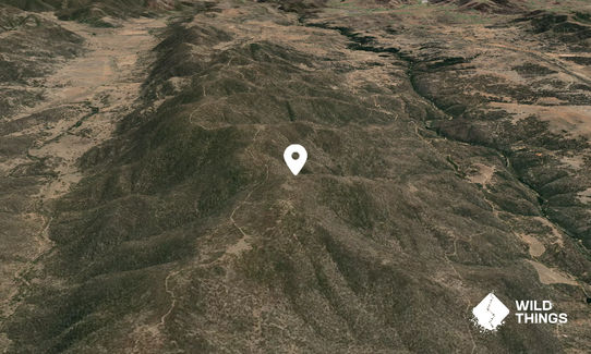 Mount Yarara