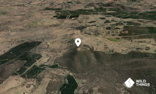 Parson Mountain