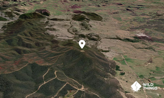 Pig Hill
