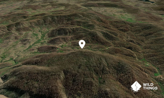 Alpine Hill