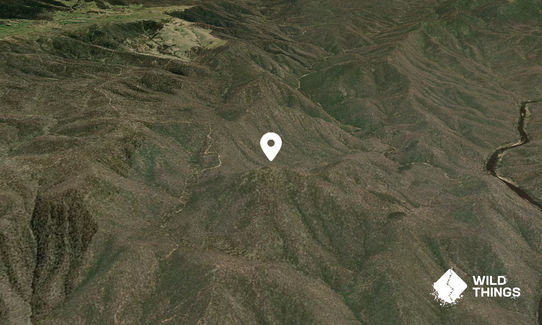 Bald Peak