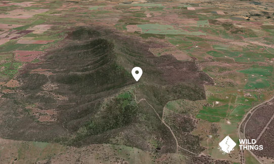 Bethungra Mountain