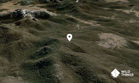 Black Cow Peak