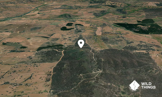 Black Hill