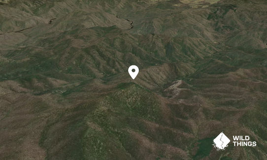 Black Jack Mountain