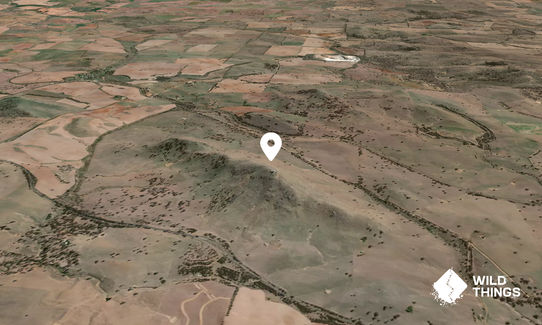 Bobbara Mountain