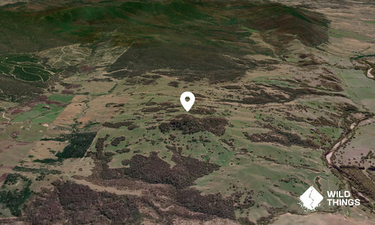 Bourkes Hill