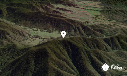 Cooranbene Mountain