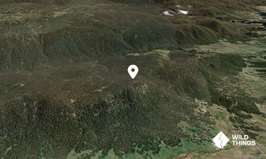 Crackenback Peak