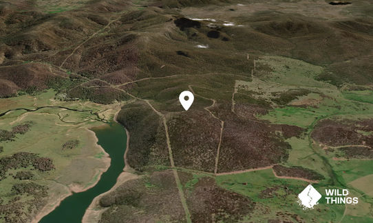 Denison Mount