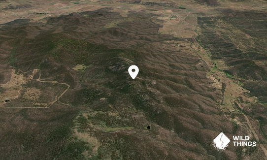 Harrisons Peak